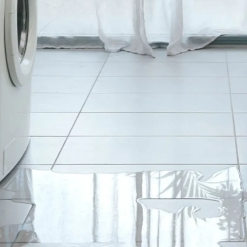 Appliance Leak Cleanup in Lake Forest, IL