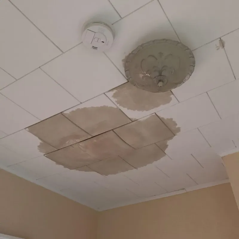 Ceiling Water Damage Repair in Lake Forest, IL