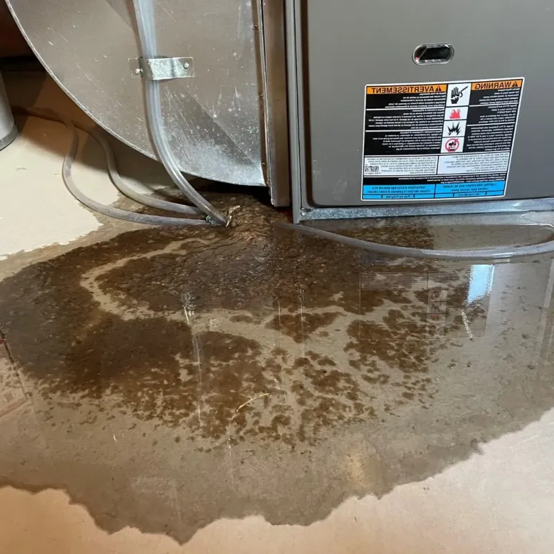 Pipe Burst and Leak Restoration in Lake Forest, IL